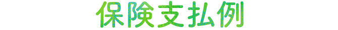 保険支払例