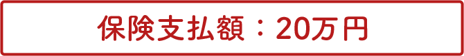 保険支払額：20万円