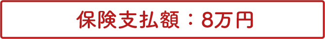 保険支払額：8万円
