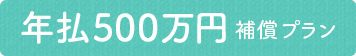 年払500万円補償プラン