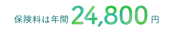 保険料は年間24,800円