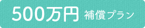 年払500万円補償プラン