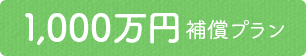 年払1,000万円補償プラン